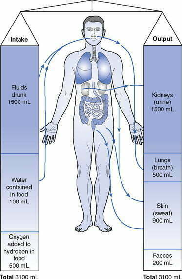 Menjaga Keseimbangan Cairan Tubuh