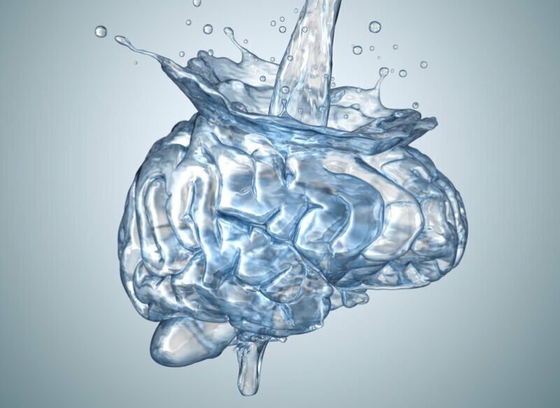Air putih untuk Kesehatan otak